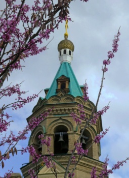 Колокольня Собора Святителя Алексия в Самарканде