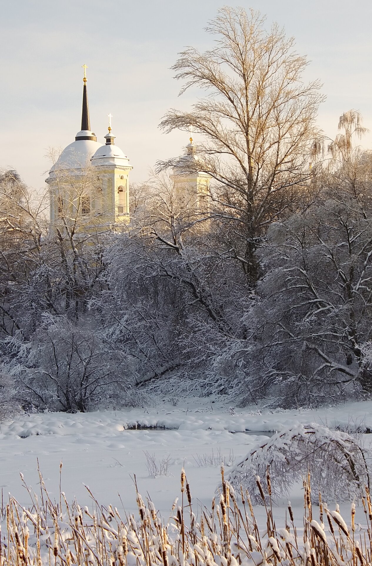 Храм Преображения Господня в усадьбе Пехра-Яковлевское зимой