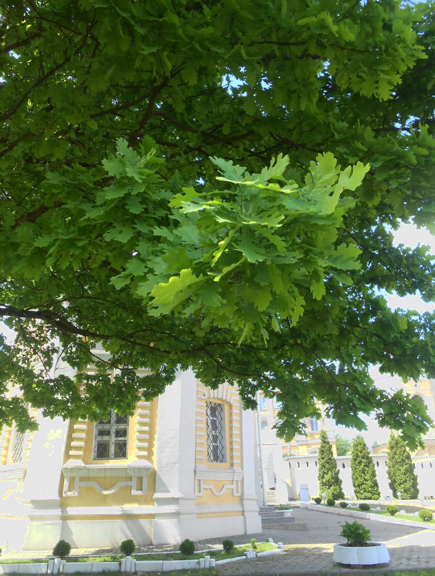 Свято-Троицкий монастырь в Смоленске