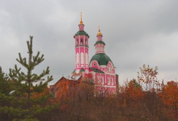 Церковь Всемилостивого Спаса в селе Вяз