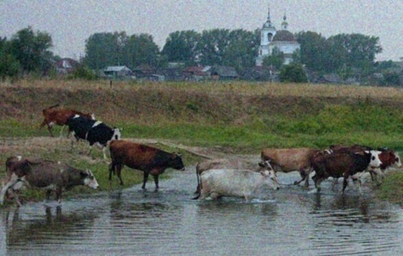 Церковь иконы Божией Матери «Всех скорбящих Радость» в селе Большие Печёрки