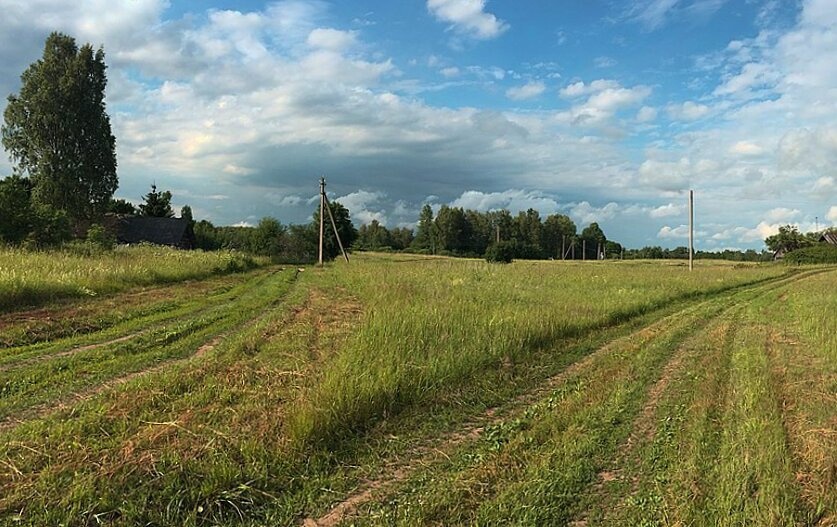 Церковь Космы и Дамиана в селе Локно