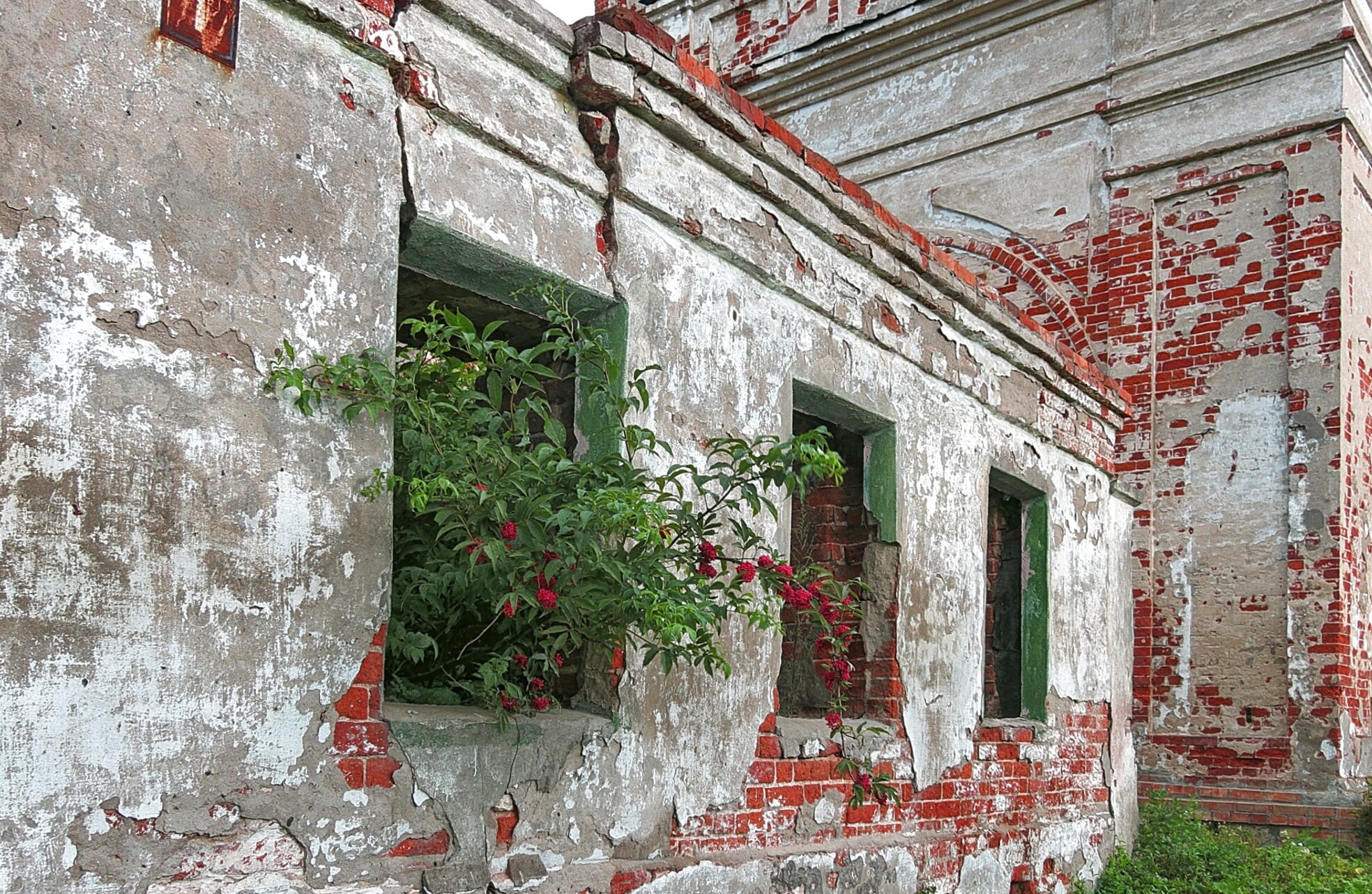 Руины Смоленской церкви в селе Устье: памятник утраченной святыни