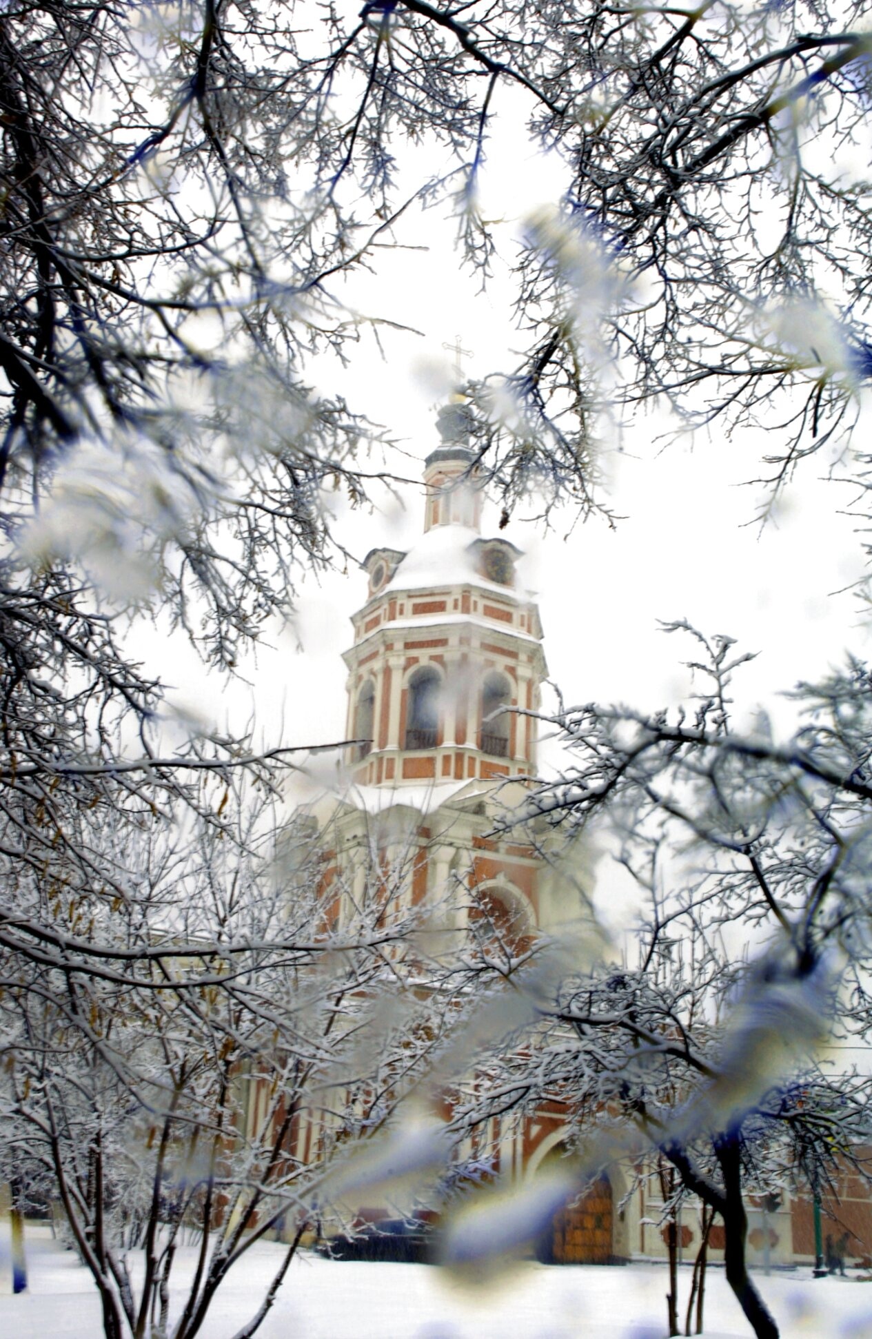 Донской ставропигиальный мужской монастырь в Москве