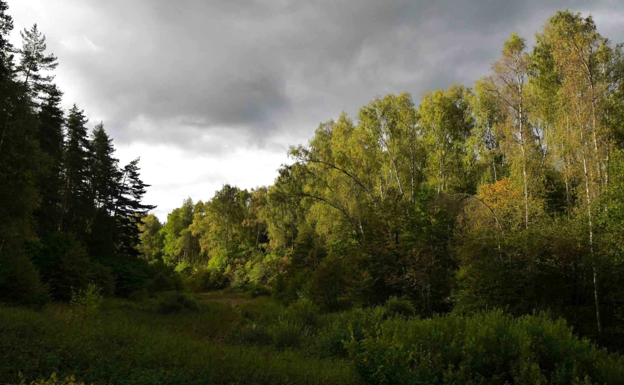 Храм иконы Божией Матери «Всех скорбящих Радость» в Куртино