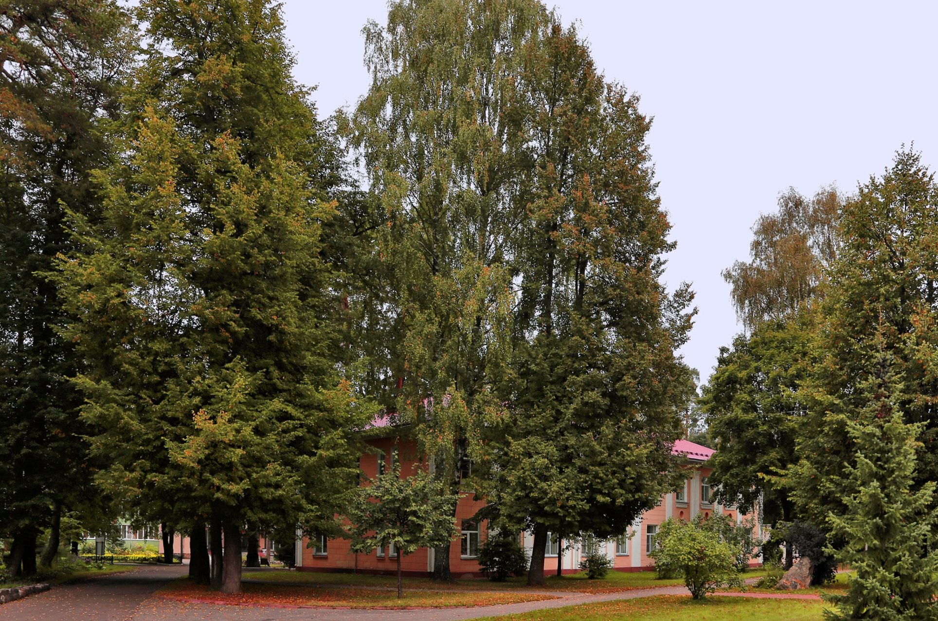 Территория Воскресенской церкви в Зернилово