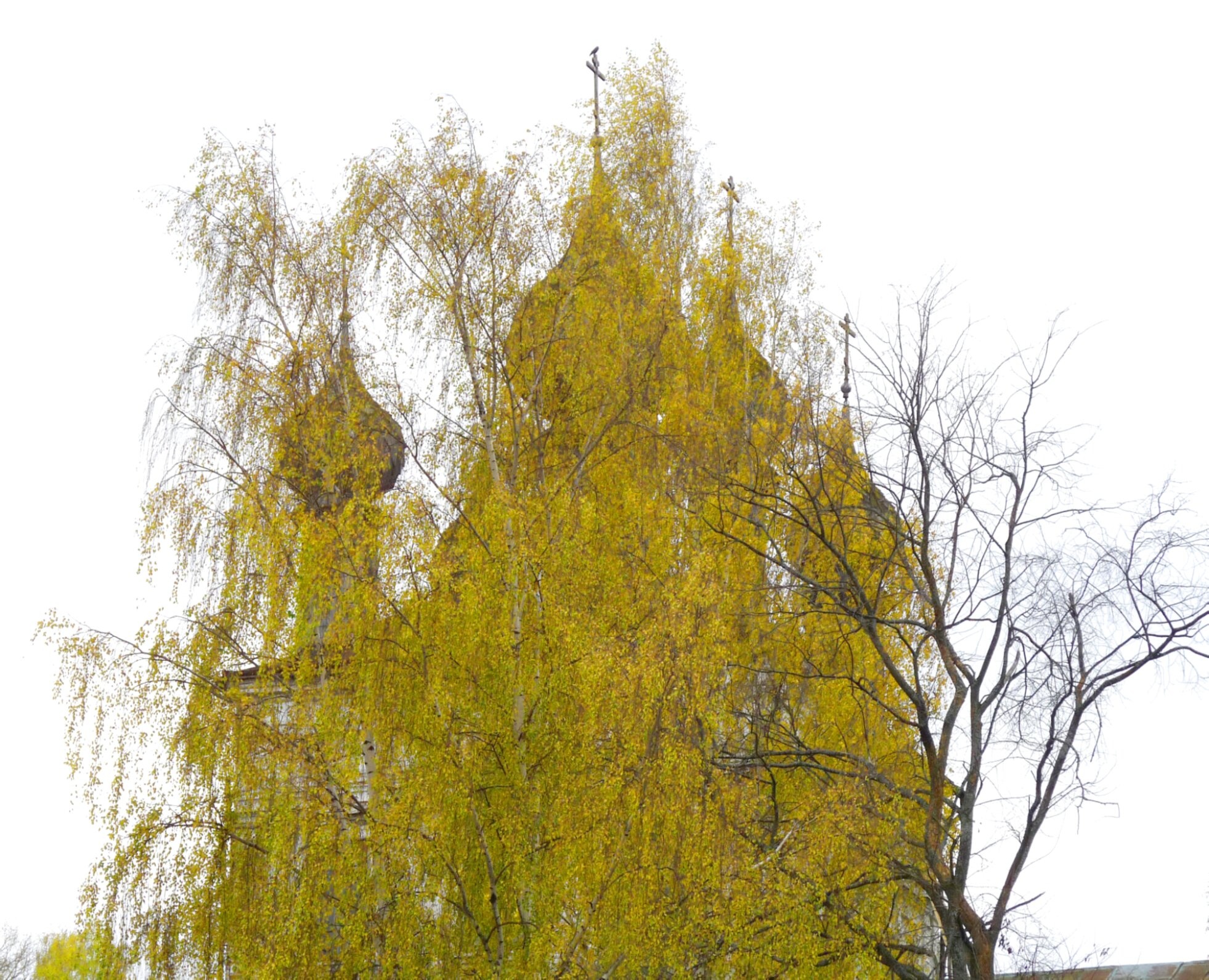 Воскресенская церковь в Плёсе - золотые купола осенью