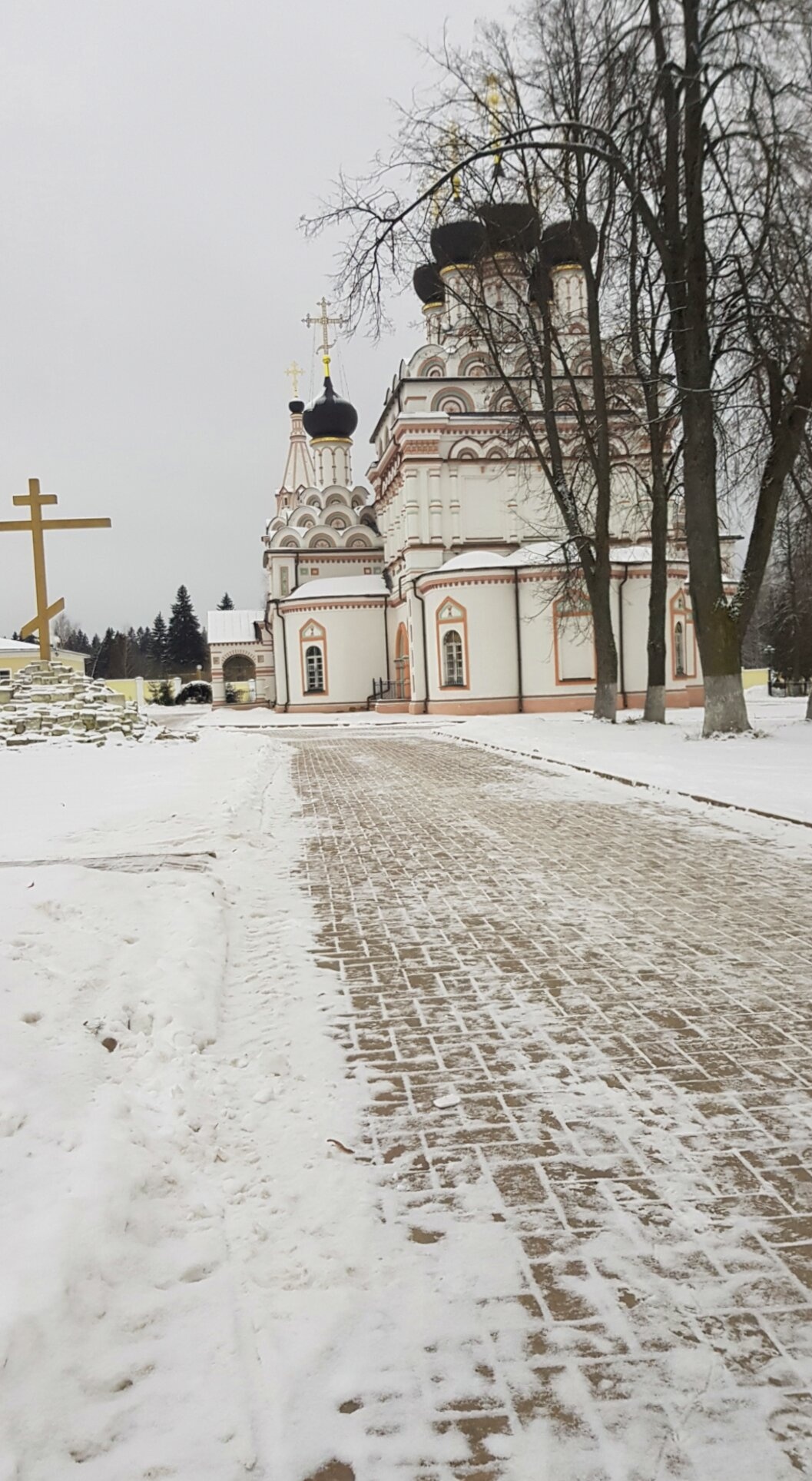 Троицкий Александро-Невский монастырь в Акатово зимой