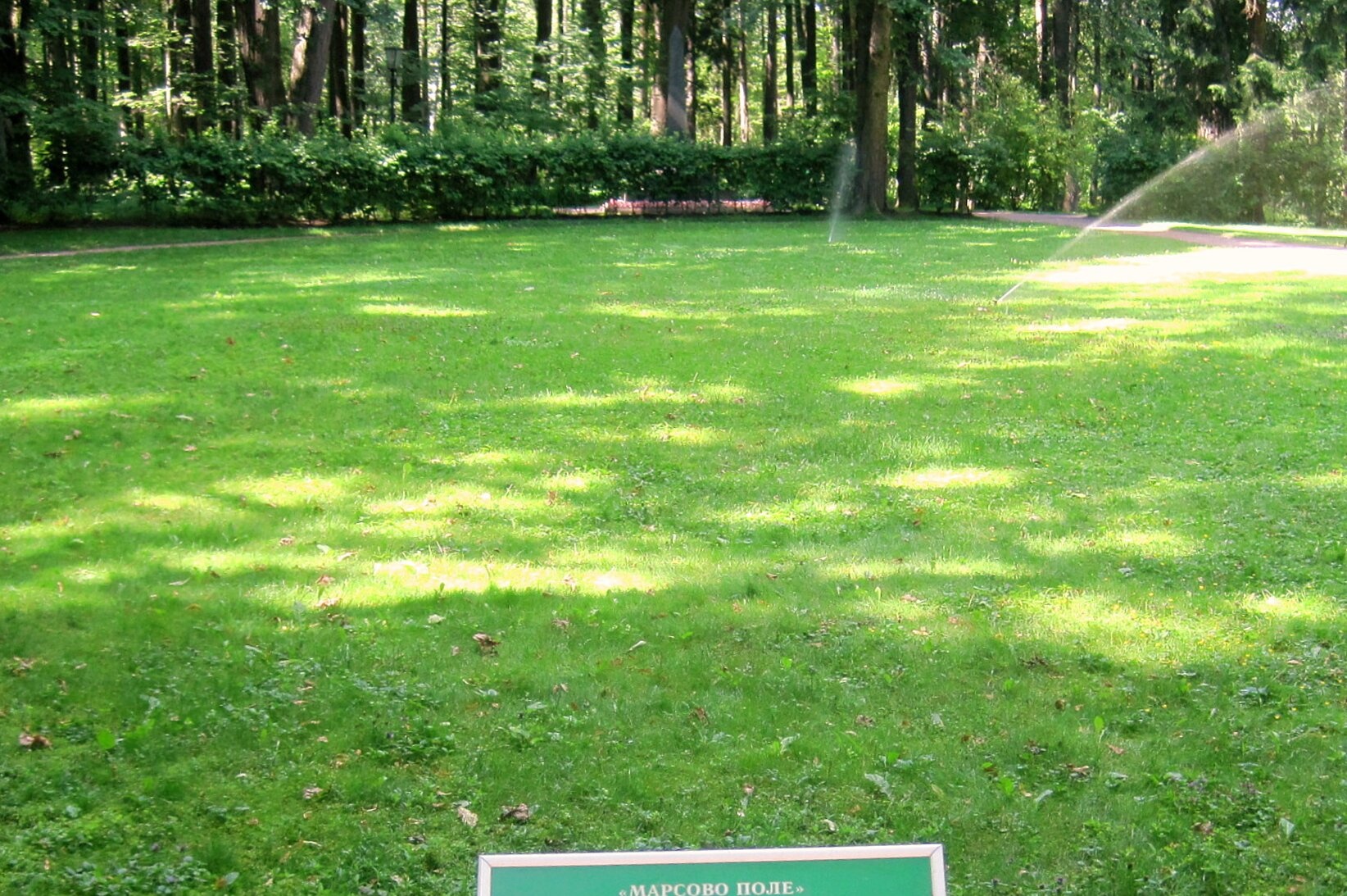 Церковь Спаса Нерукотворного Образа в селе Большое Свинорье