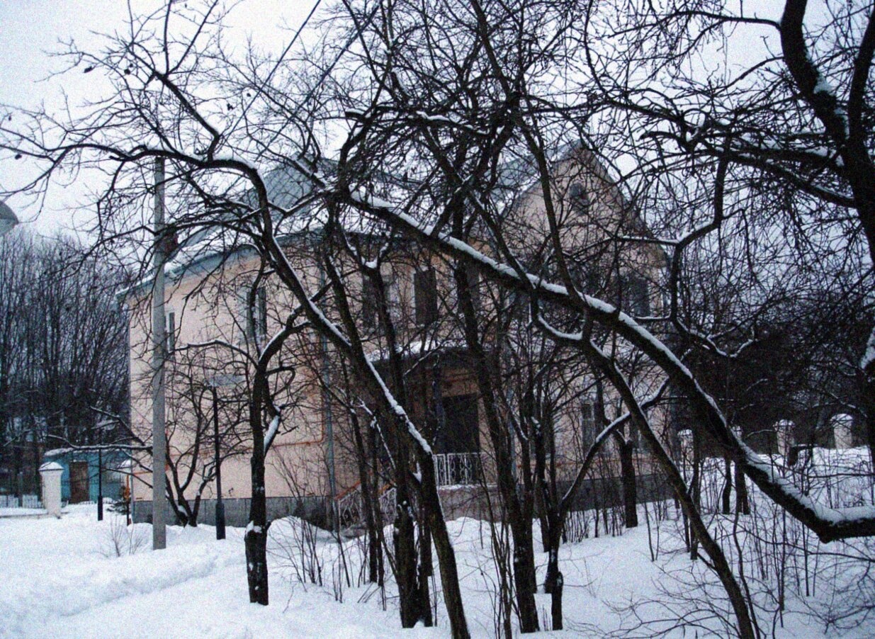 Храм Владимирской иконы Божией Матери в Виноградово
