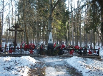 Братское захоронение воинов в деревне Борки Новгородской области