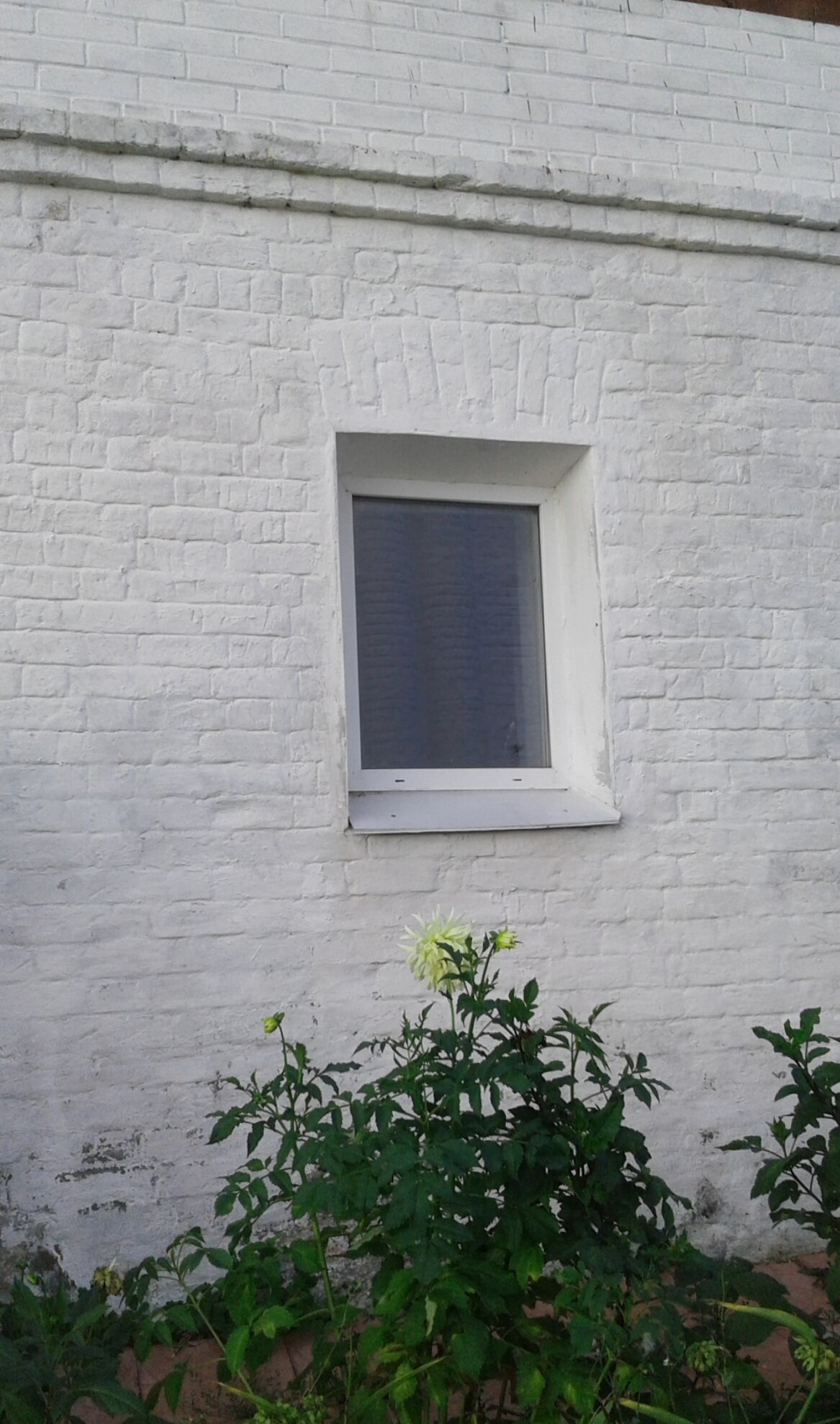 Окно Церкви Преображения Господня в Шуе