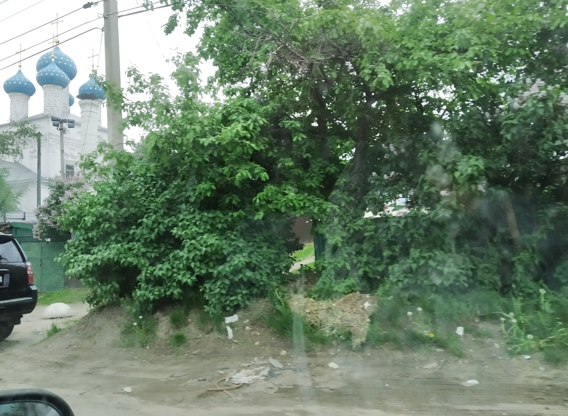 Храм Николая Чудотворца в Пушкино: история и современность