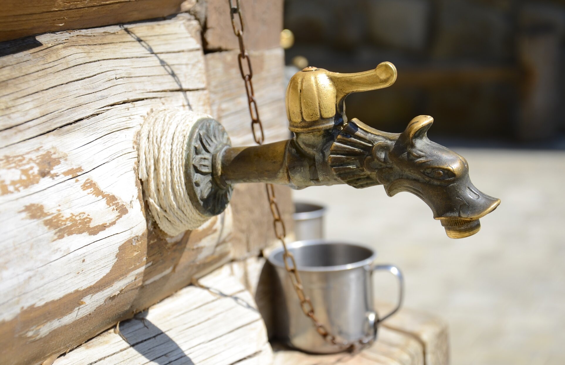 Дракон-кран в храме Серафима Саровского в Анапе