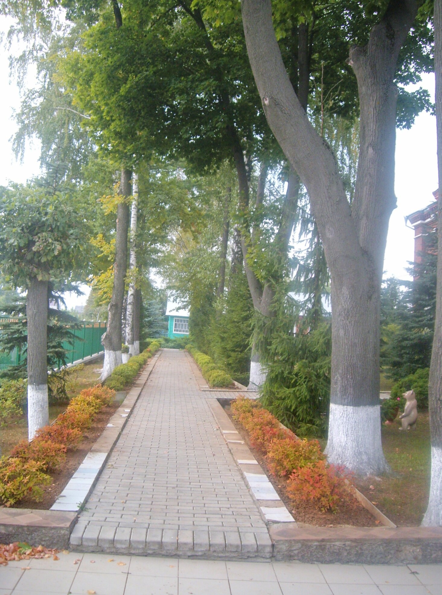 Аллея к Храму Вознесения Господня в селе Речицы