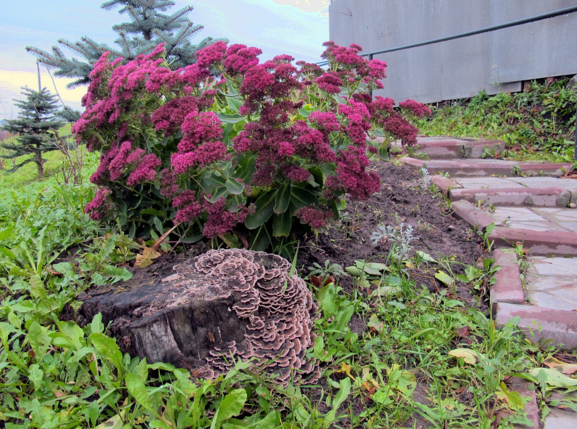 Церковь Иоанна Богослова в Смоленске: фрагмент стены
