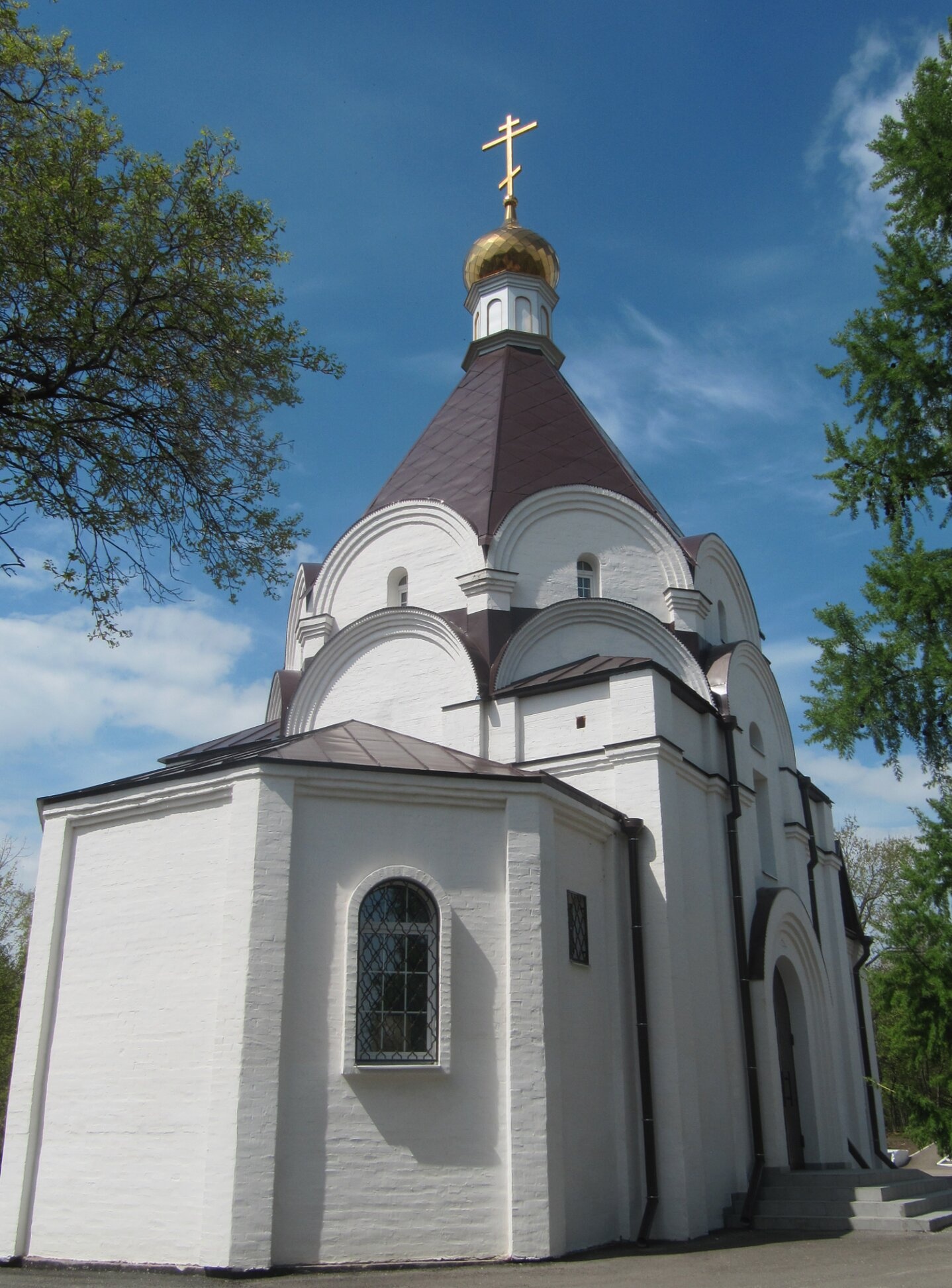 Храм святого Александра Невского в Саратове: вид с восточной стороны