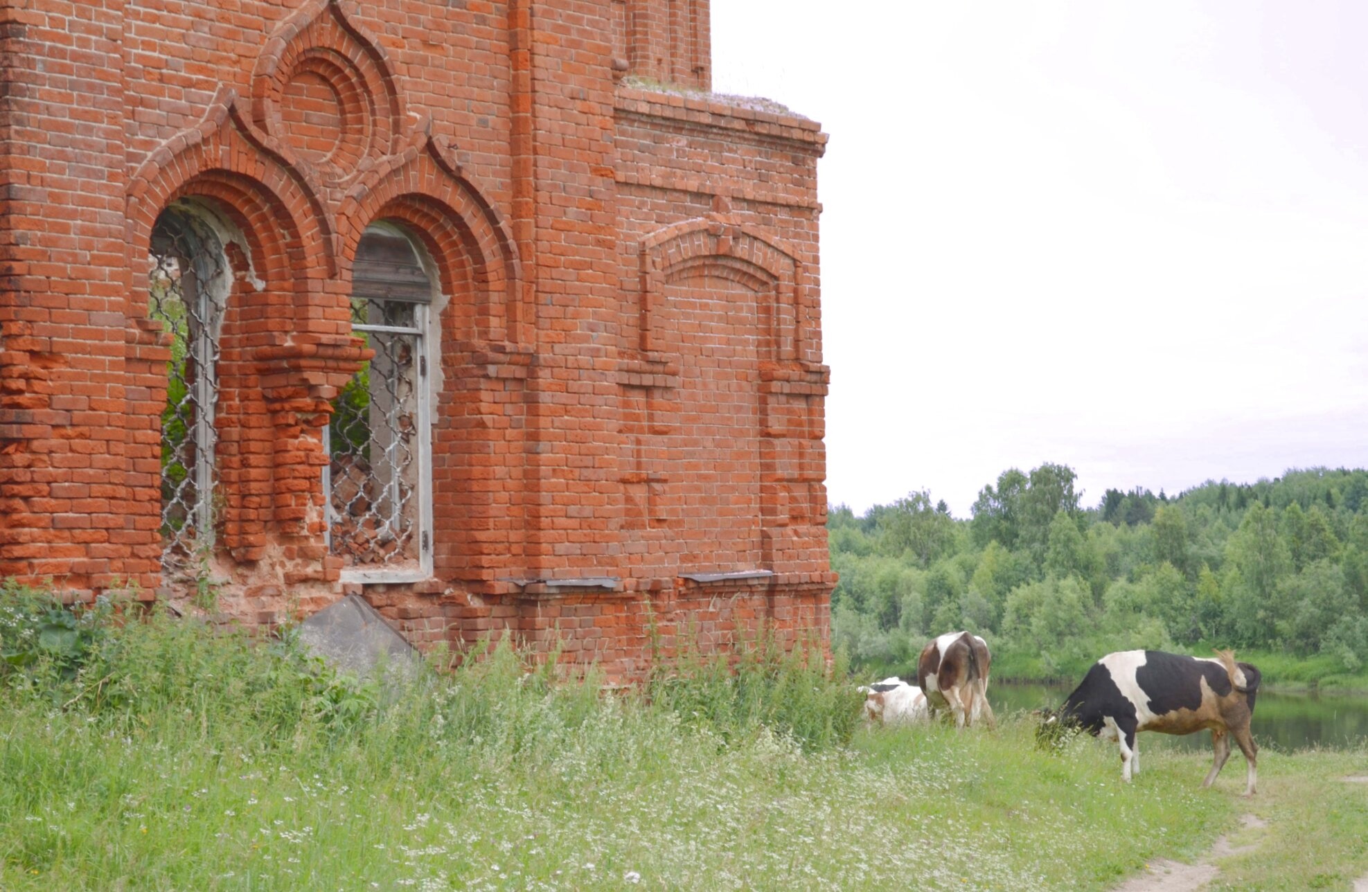 Церковь Благовещения Пресвятой Богородицы в селе Покча
