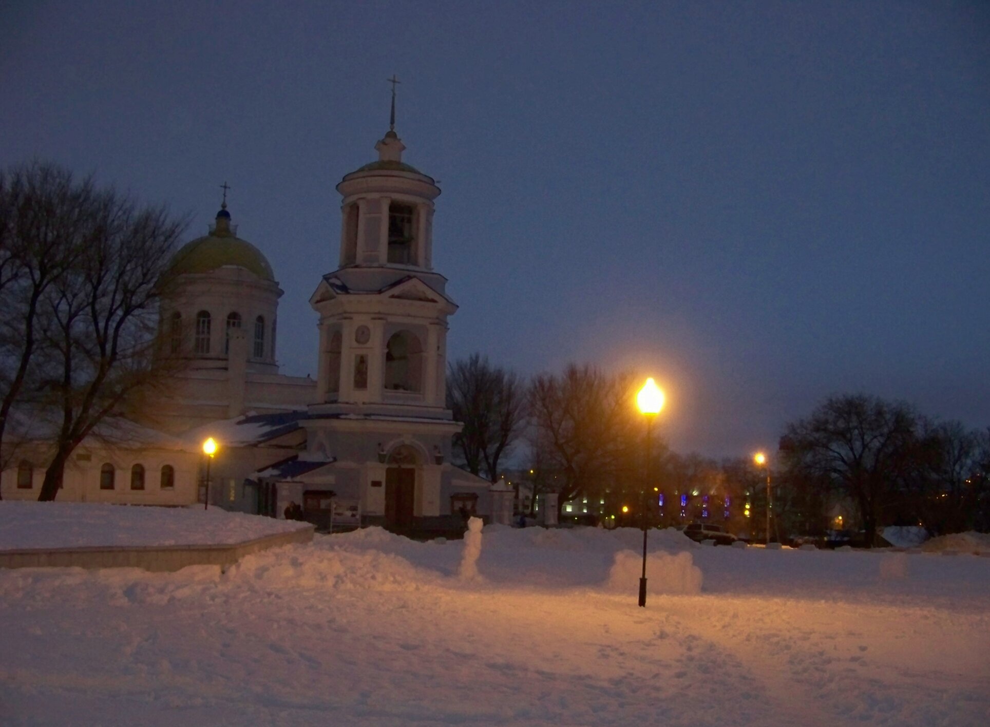 Покровский храм в Воронеже в зимнем ночном пейзаже
