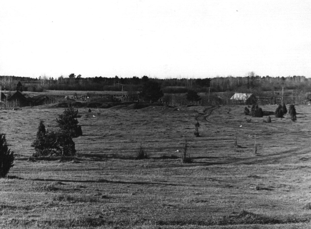 Церковь Космы и Дамиана в селе Локно: запечатлённый пейзаж