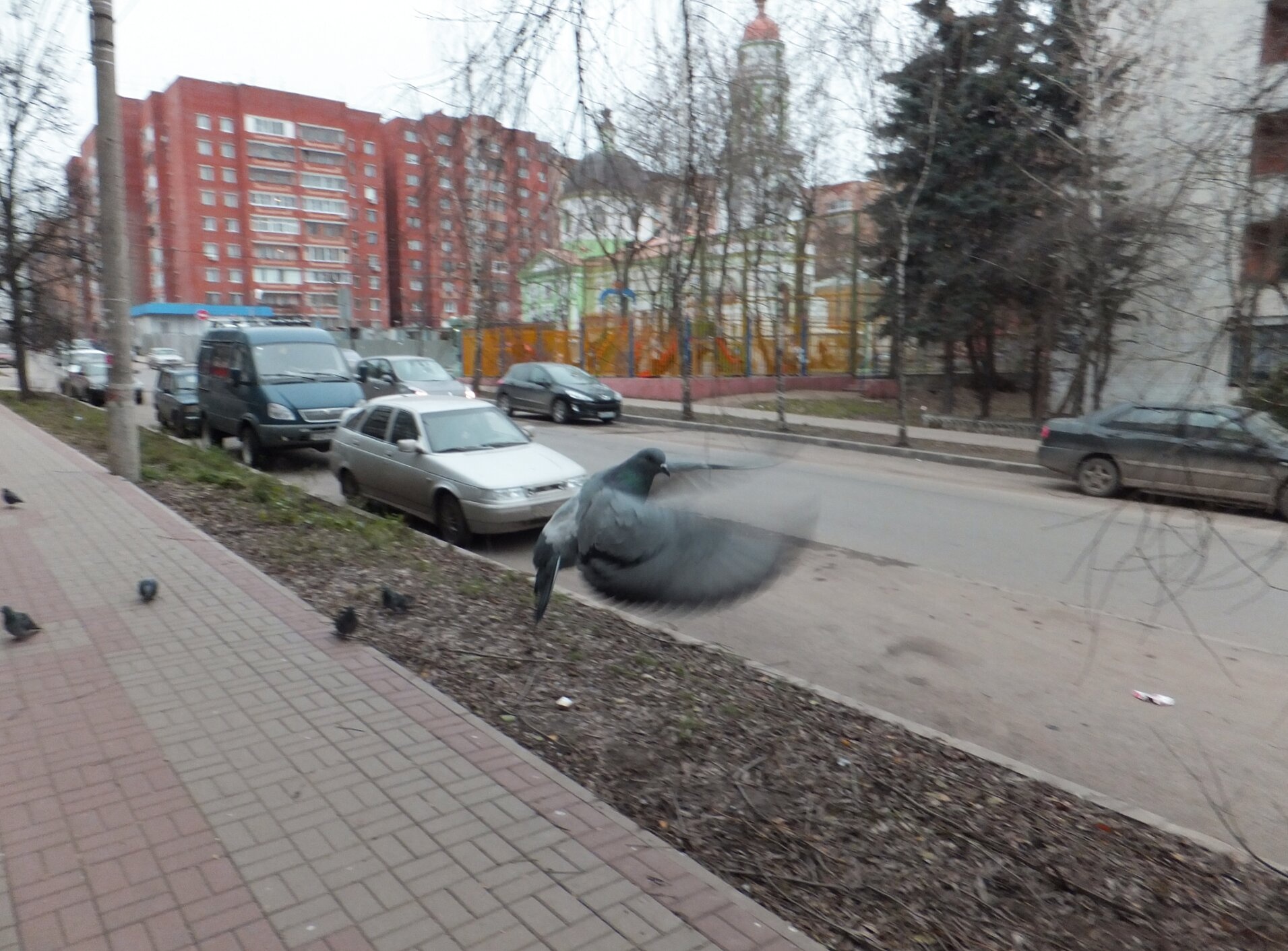 Храм Василия Блаженного в Калуге: запечатлённый миг благодати