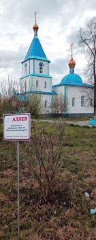 Храм в честь иконы Божией Матери «Целительница» в Ялуторовске