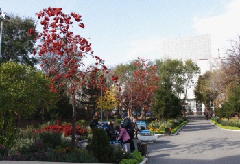 Осенний вид на Крестовоздвиженский храм в Тюмени