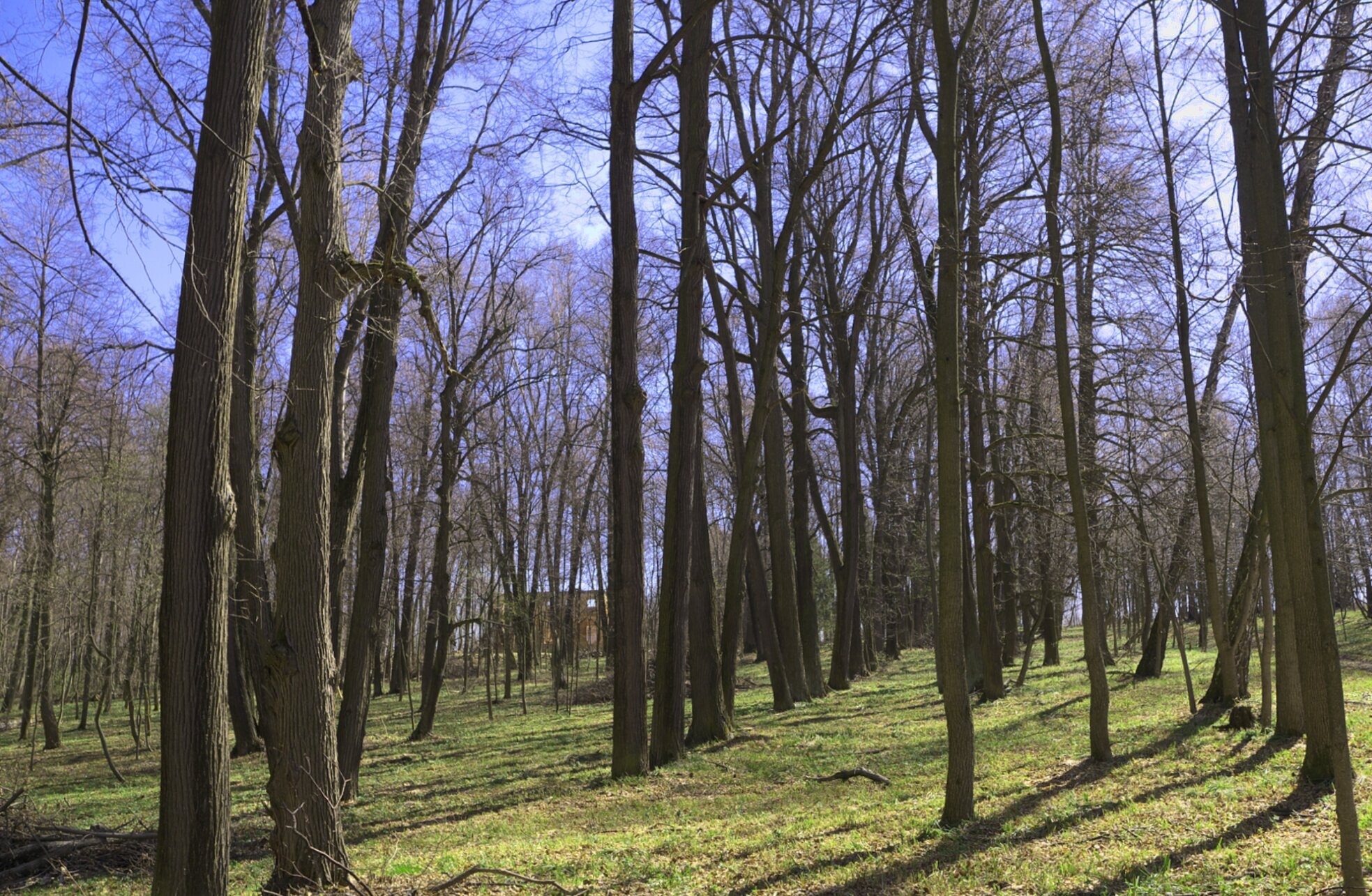 Храм Космы и Дамиана в усадьбе Быково