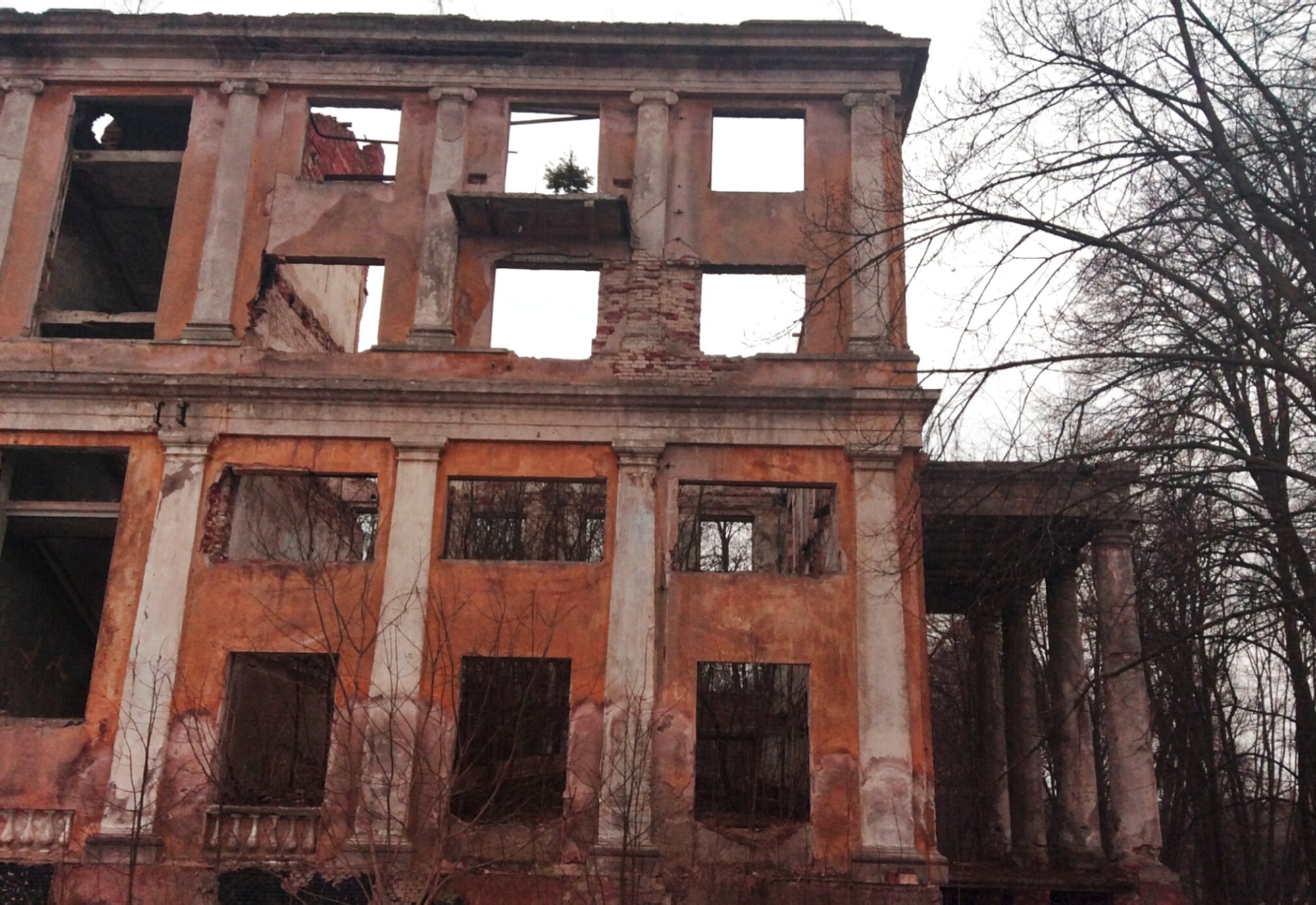 Храм Святителя Николая Чудотворца в селе Круги