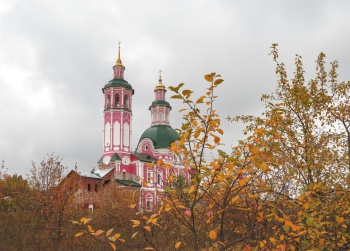 Церковь Спаса Нерукотворного Образа в селе Вяз