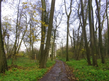 Церковь благоверных князей Бориса и Глеба в Енино