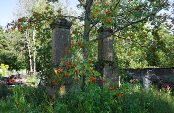 Историческое надгробие на кладбище Петропавловской церкви в Новой Ладоге