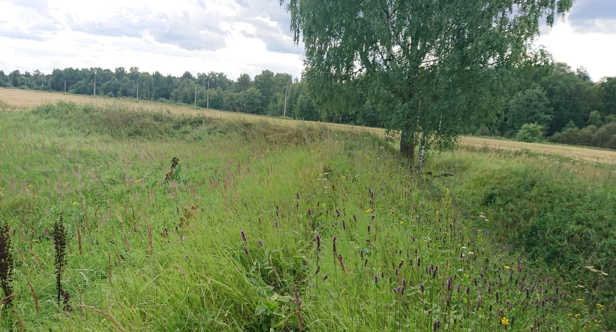 Церковь Рождества Пресвятой Богородицы в Никольском-Чубарово