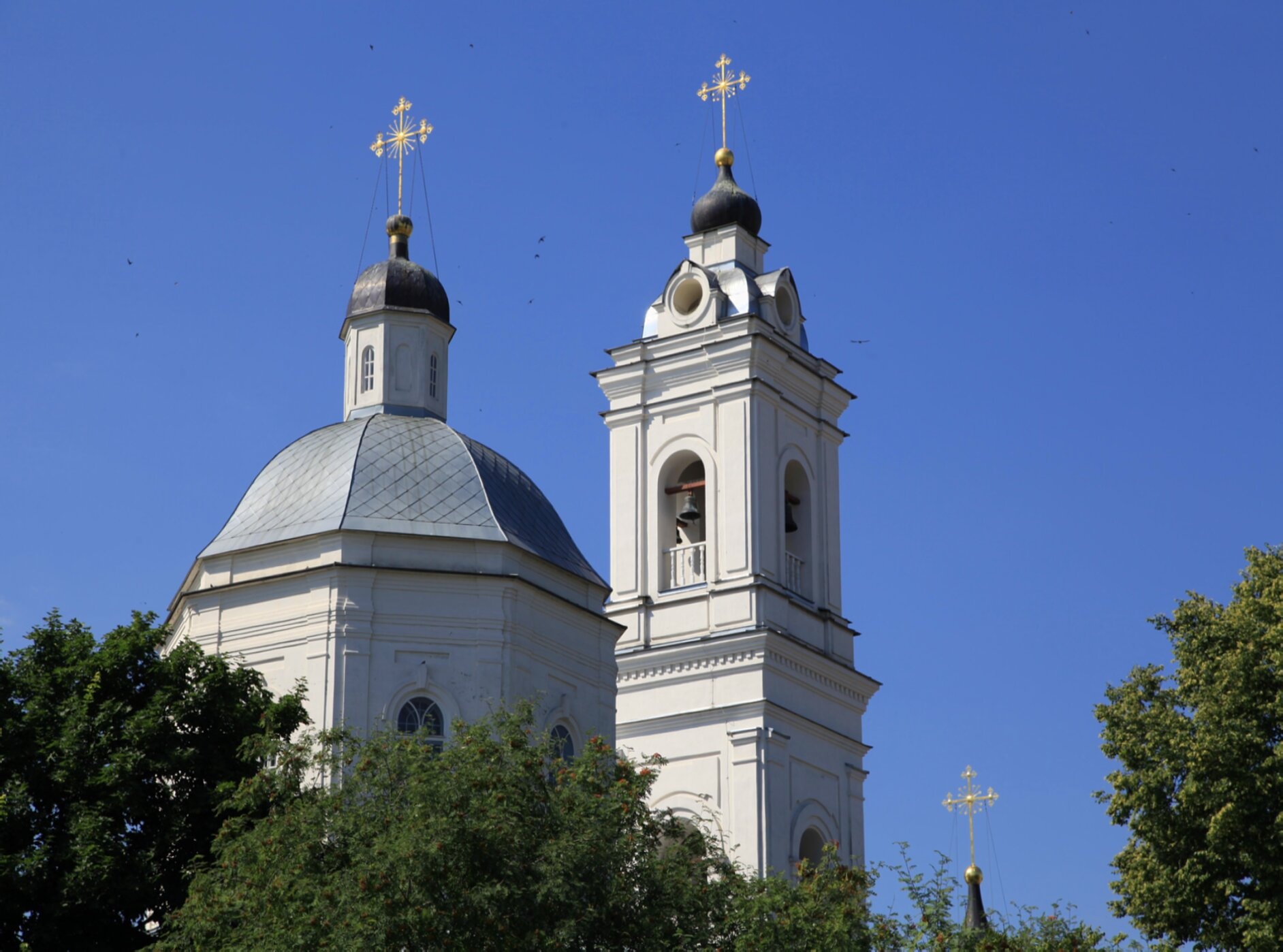 Храм Святых Апостолов Петра и Павла в Тарусе