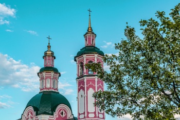 Церковь Всемилостивого Спаса в селе Вяз