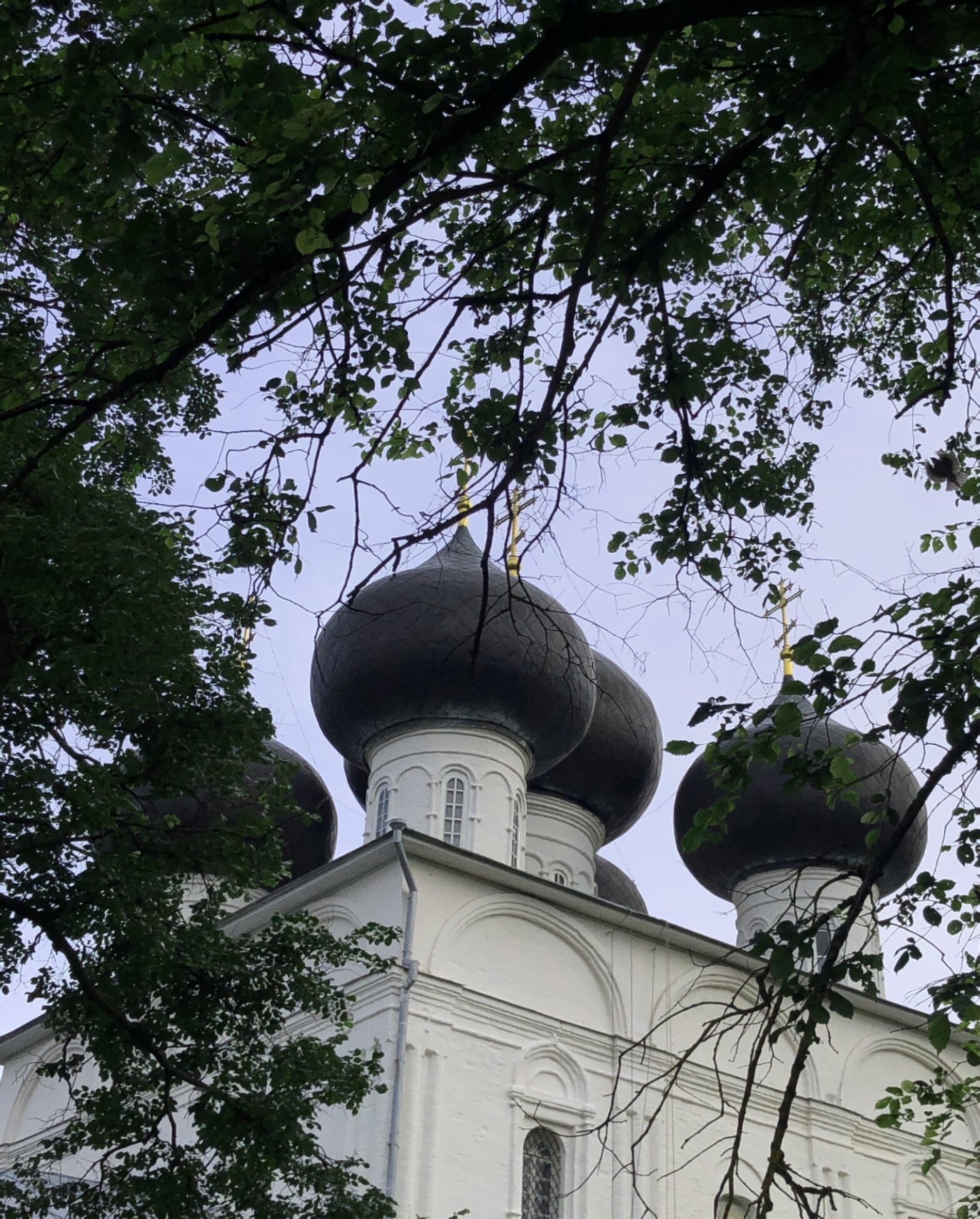 Церковь Николая Чудотворца во Владычной слободе Вологды