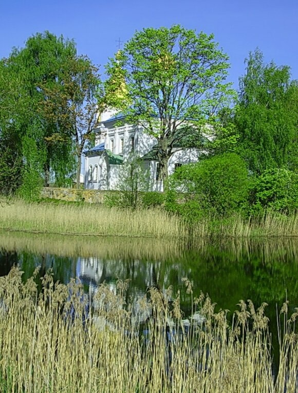 Свято-Успенская православная церковь в деревне Ручица