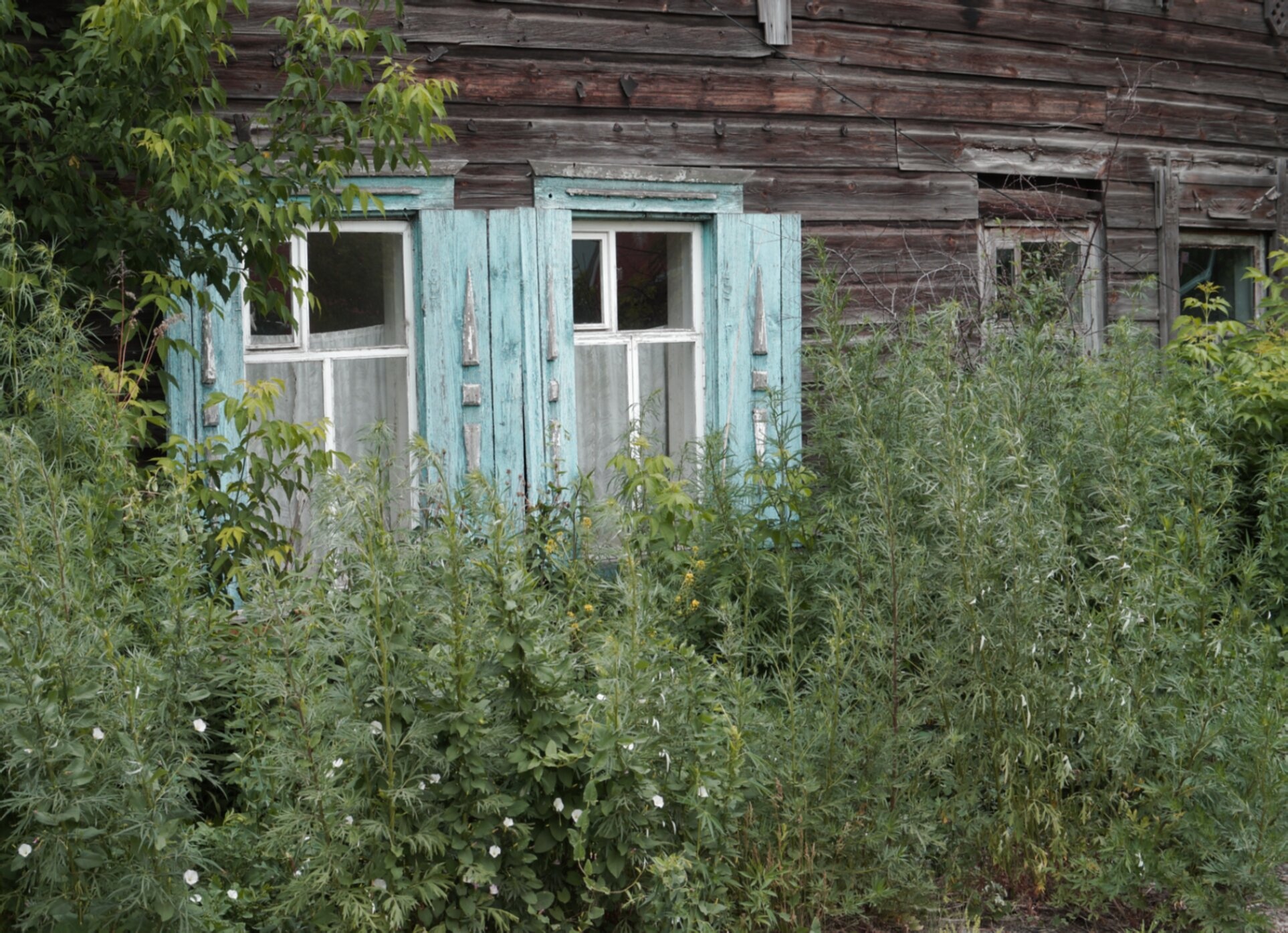 Деревянный дом с голубыми ставнями в Бийске