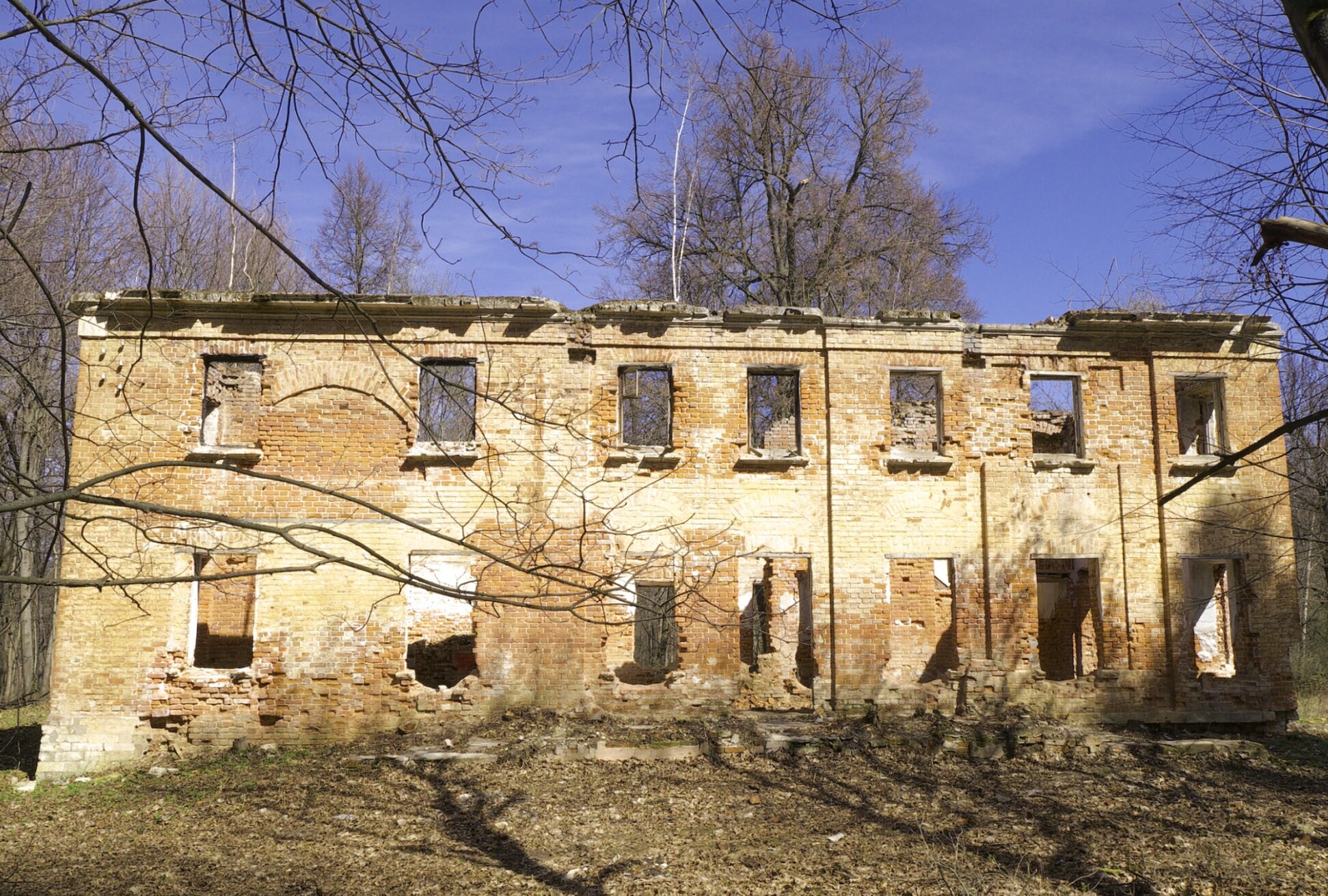 Церковь Рождества Христова в усадьбе Шаховских (Каменищи)