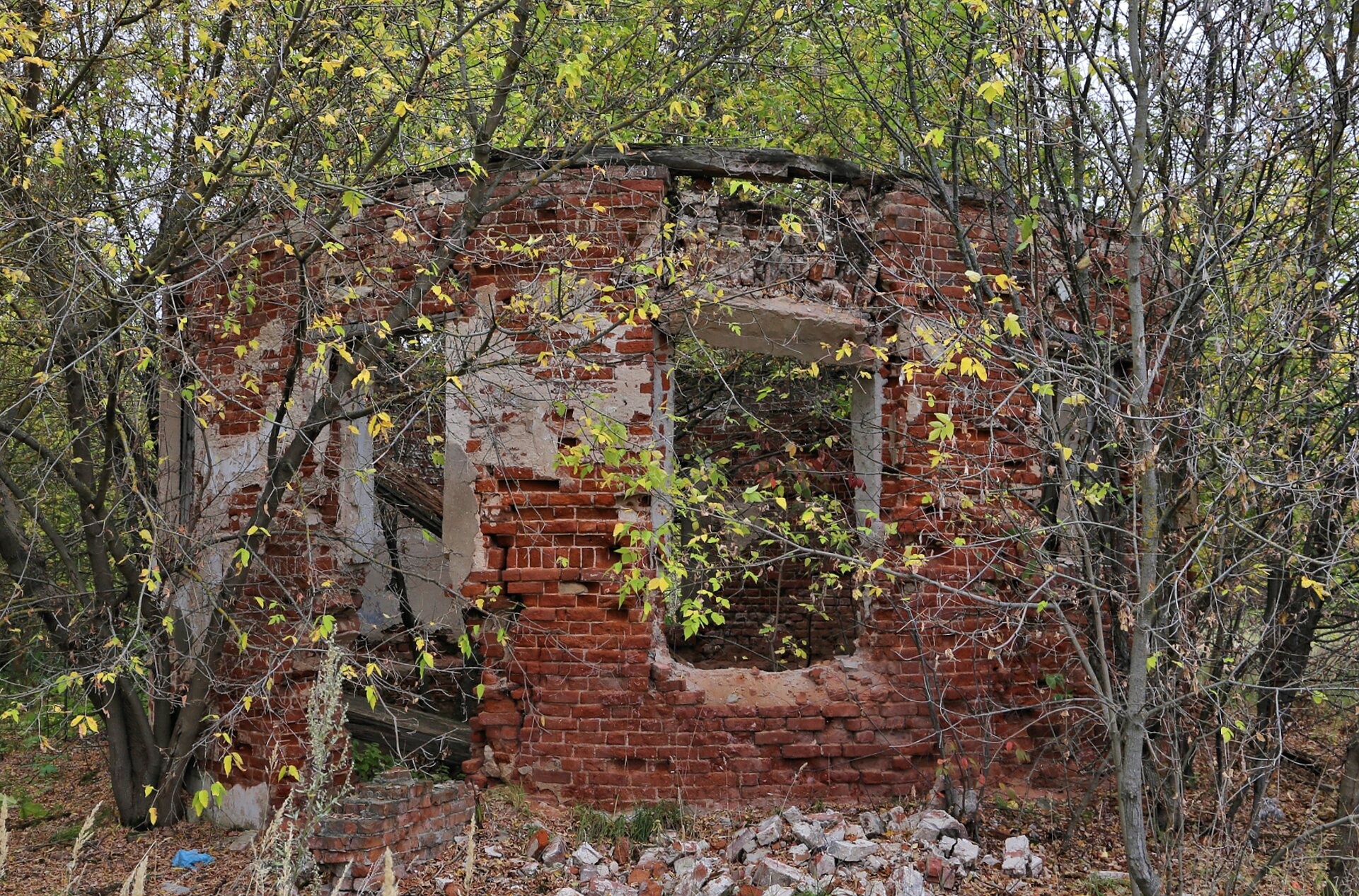 Руины Церкви Преподобного Сергия Радонежского в селе Аньково