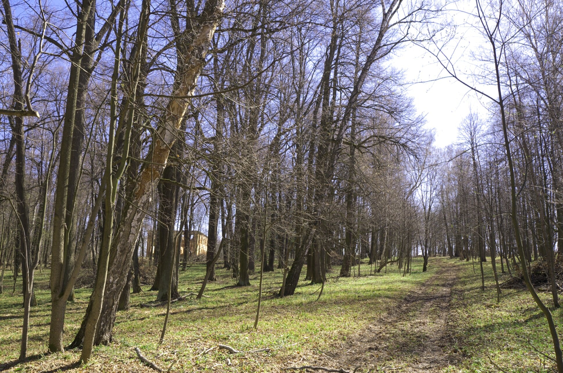 Церковь иконы Божией Матери «Всех скорбящих Радость» в Куртино