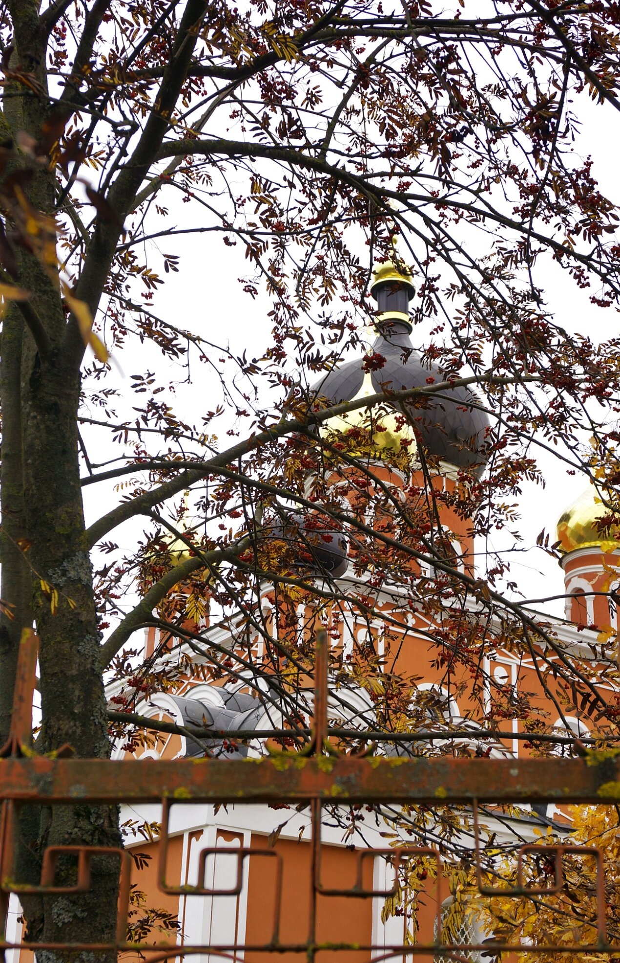 Собор Воскресения Христова в Старой Руссе