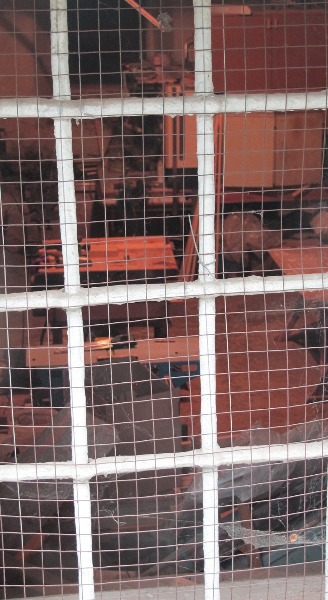 Вид через решетку в Церкви Преображения Господня (Спас-Загорье)