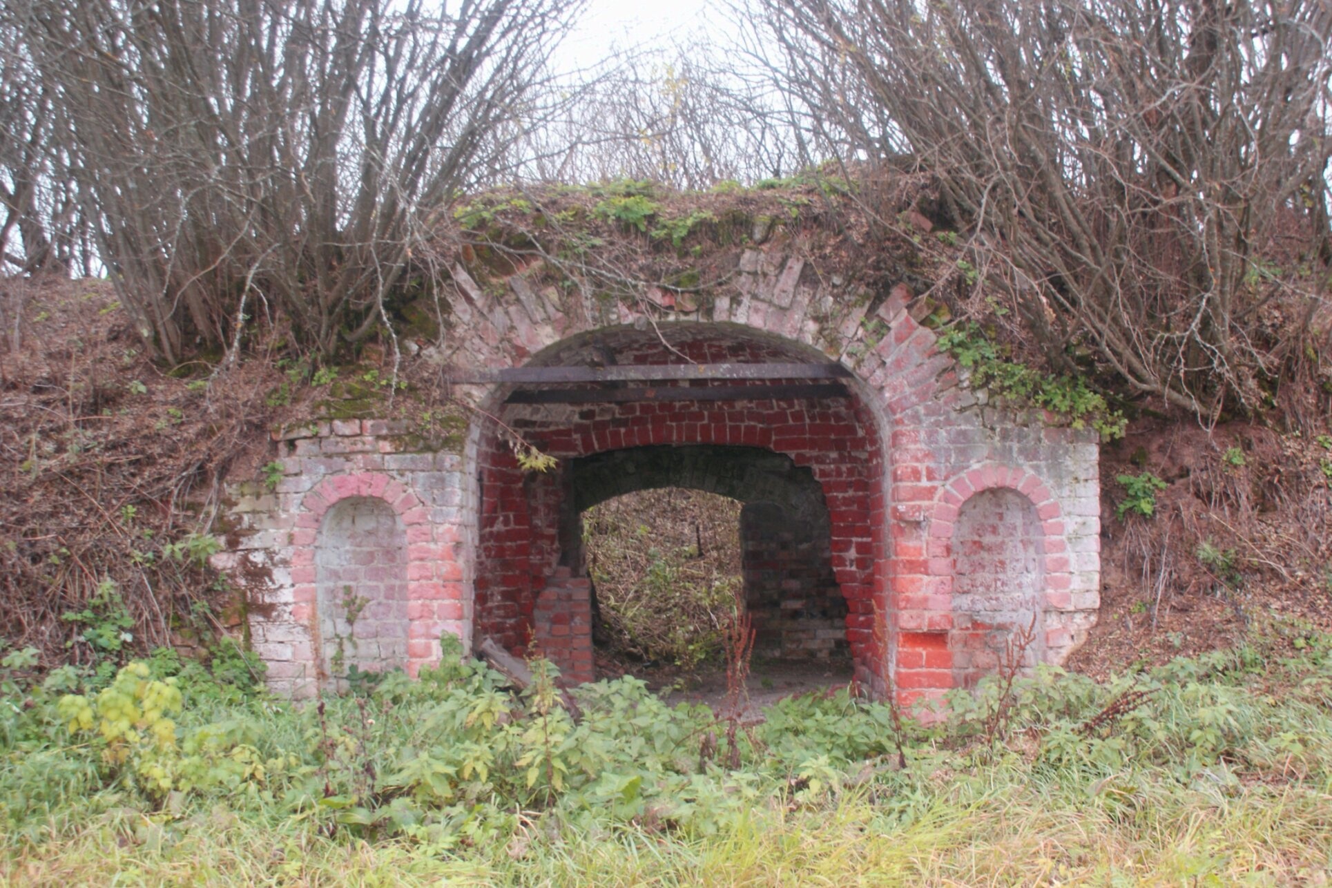 Церковь Введения во храм Пресвятой Богородицы в Зарницыно (Калово)