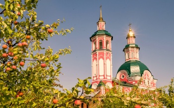 Церковь Спаса Всемилостивого в селе Вяз