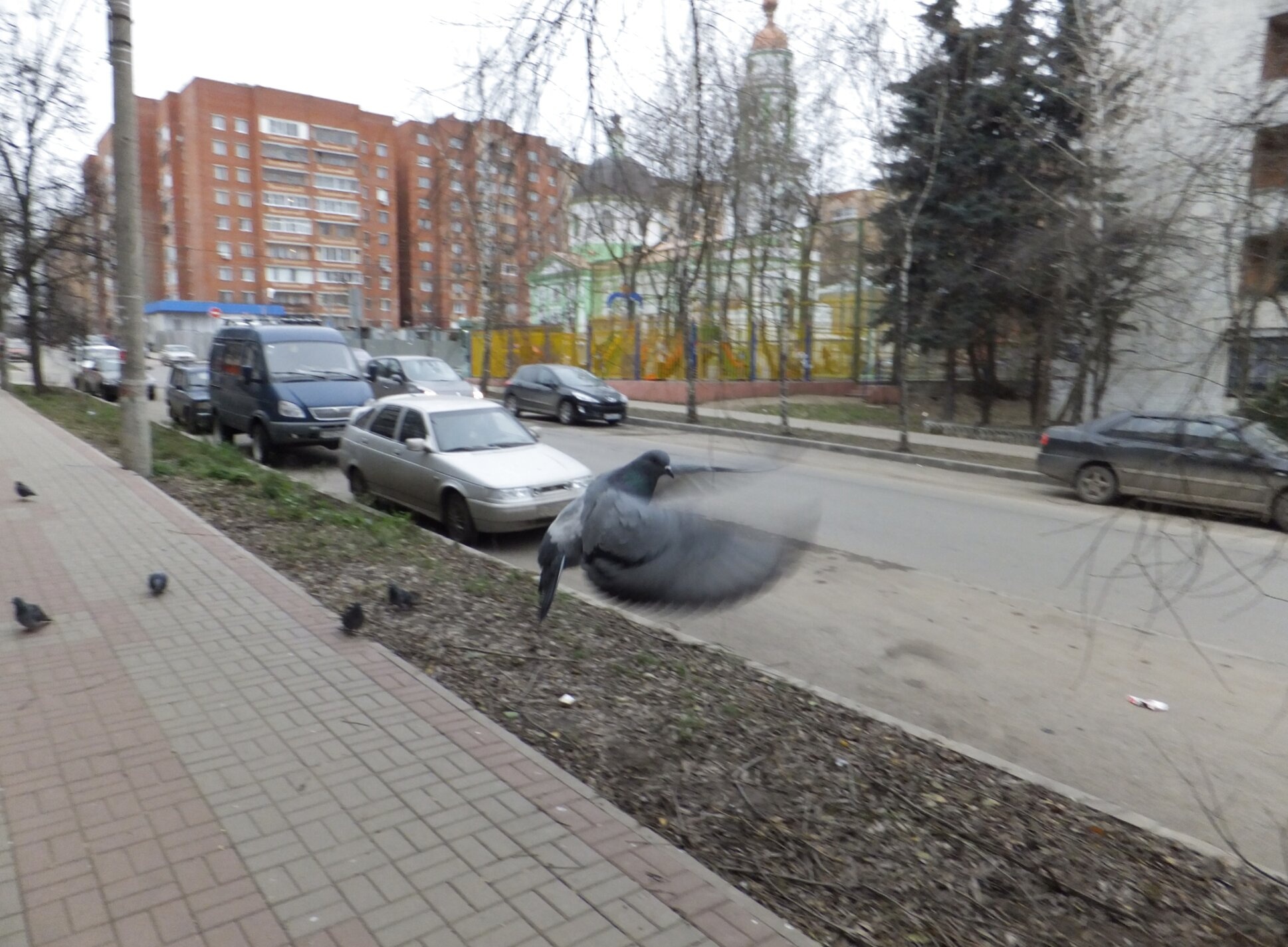 Вид на храм Василия Блаженного в Калуге