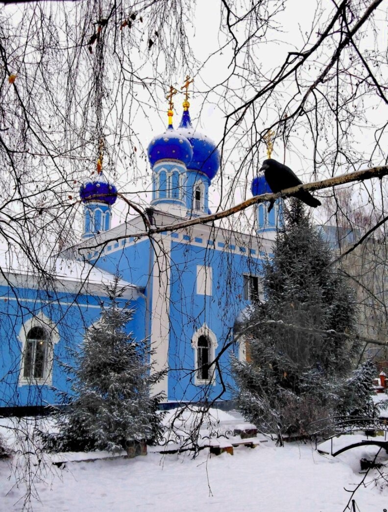 Успенская церковь в Воронеже — зимняя фотография
