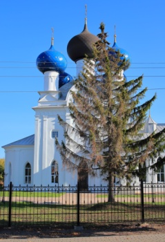 Церковь Покрова Пресвятой Богородицы в Богородске
