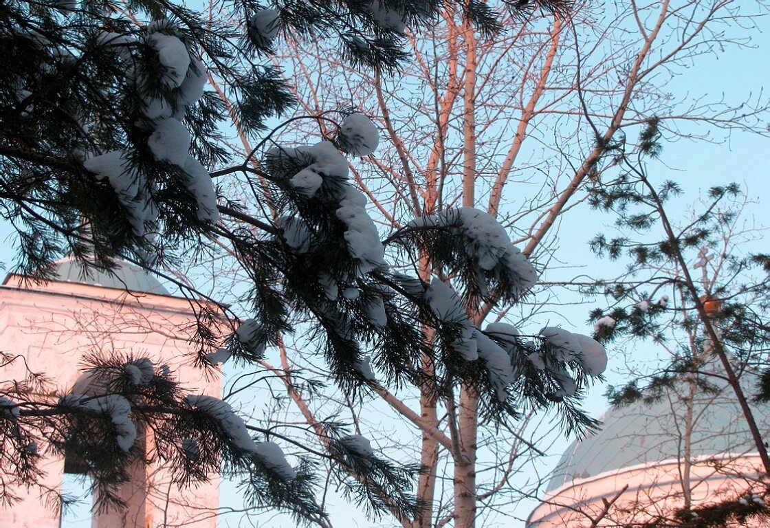 Храм Рождества Христова в Нижней Добринке зимой