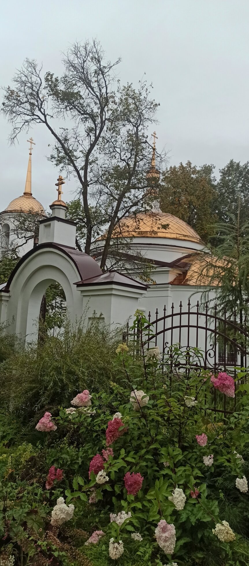 Церковь Александра Невского в Высокиничах